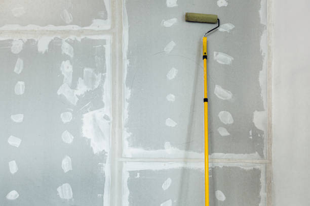 Best Mold Odor Removal Services  in Gunnison, CO