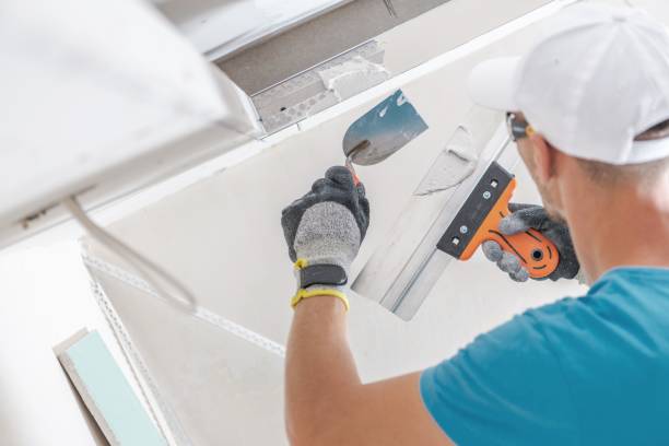 Best Black Mold Removal  in Gunnison, CO